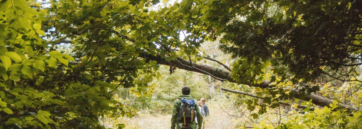 Rutas de senderismo cercanas del Relais des Landes
