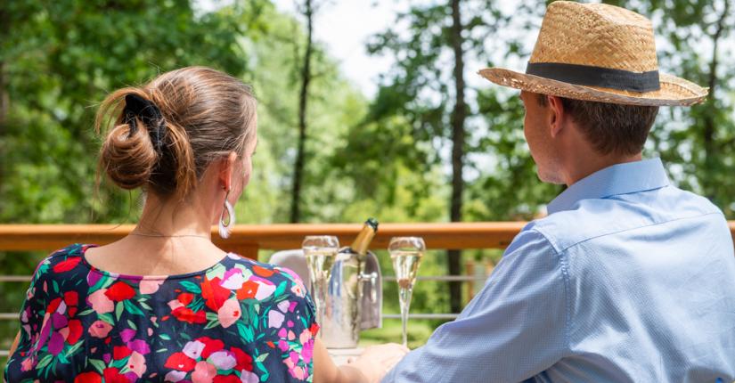 Hôtel Relais des Landes - Parc